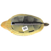 Kép 3/3 - Ubbink Úszó vadkacsa nőstény, 39 cm - Élethű madár figura - csalimadár