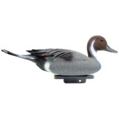 Kép 1/3 -   Ubbink Úszó nyílfarkú réce hím, 48 cm - Élethű madár figura - csalimadár 