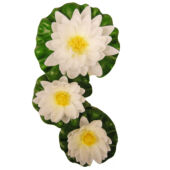 Kép 1/3 - Ubbink Tórózsa selyem, fehér 3 db-os 10/8/8cm 