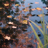 Kép 2/2 - Ubbink lombfogó háló 4m széles