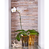 Sárga műanyag orchidea kaspó, 12 x 16,5 cm