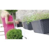 Kép 3/4 - Prosperplast Ratolla Case Balkonláda, mokka, 48 x 17 x 4,5cm