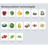 Kép 2/2 - Kis Kertészek Kombi Nöbvényvédő Szer Csomagja 