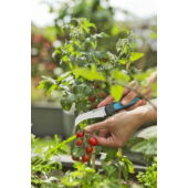 Kép 2/5 - Gardena VeggieCut szüretelő kés_1