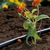 Kép 3/3 - Gardena végcsepegtető 25 db