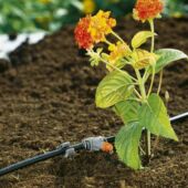 Kép 4/4 - Gardena Sorcsepegtető 10 db