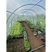 Kép 18/18 - Fóliasátor 200x200x300 cm váz+fólia - zöld