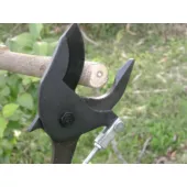 Kép 2/19 - Nishigaki japán ágvágó futomaru 100 cm, N-153