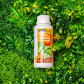 Kép 3/3 - Proplant gombaölő permetezőszer 200 ml