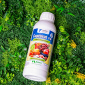 Kép 2/2 - Cuproxat FW gombaölő permetszer 200 ml
