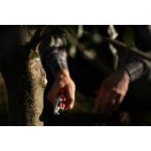 Kép 4/5 - Löwe 10.107 rávágós metszőolló hajlított pengével 