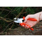 Kép 6/9 - Löwe 5107 rávágós metszőolló