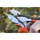 Kép 8/9 - Löwe 5107 rávágós metszőolló