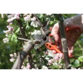 Kép 5/5 - LÖWE Mellévágó metszőolló 21cm, 11.104