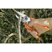 Kép 4/6 - LÖWE Rávágó metszőolló 21cm, 8.107