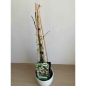 Kép 4/5 - Clematis vitalba erdei iszalag