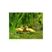 Kép 2/2 - Ubbink Állatfigura, kiskacsa sárga 20 cm