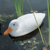 Kép 2/2 - Úszó kacsa fehér, 37 cm - Élethű madár figura - csalimadár