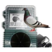Kép 2/2 - BirdGard Pro - Pigeons (galambok ellen)