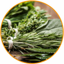 Fűszernövény magok