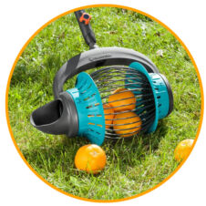 Gyümölcs és diószedő