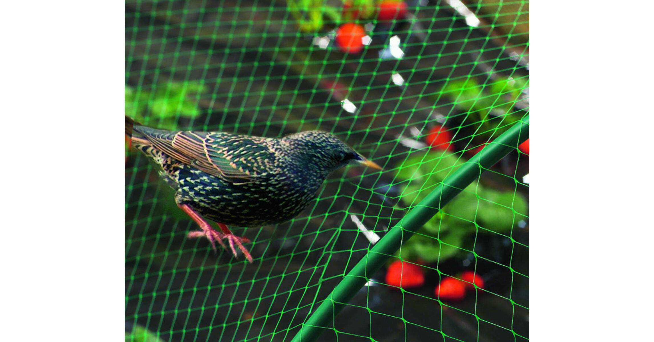 Nortene Birdnet rombusz szemformájú ,extrudált műanyag háló, rombusz ...