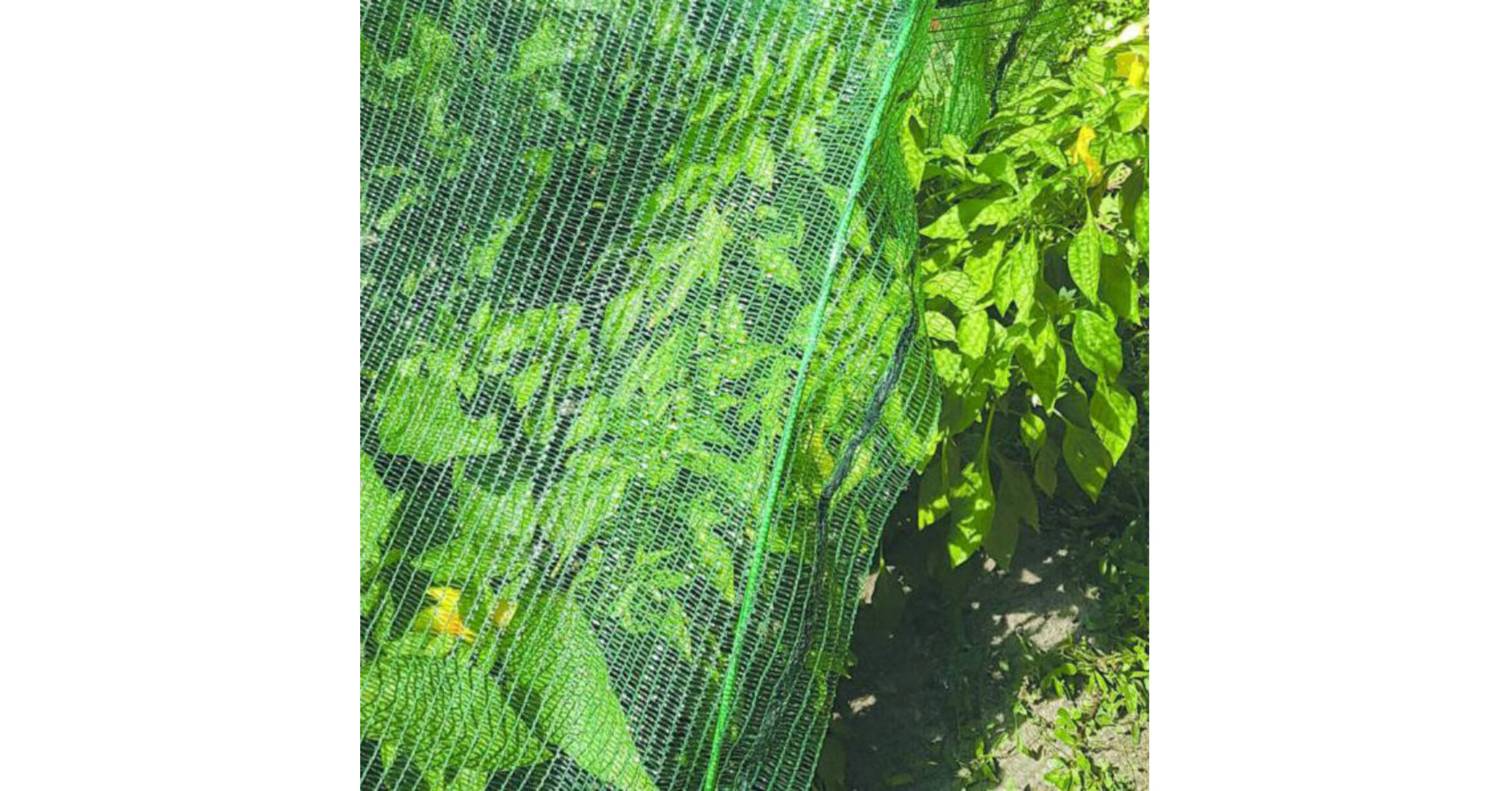 Nortene SUN NET 30%-os szőtt árnyékoló háló, zöld, 3,6x10m