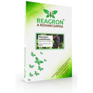 Reagron Nyerges Szőlőmoly Alapcsapda