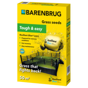 Barenbrug Resilient Blue Lawn Pázsitmag, fűmag (rendkívüli igénybevételre) 1 kg