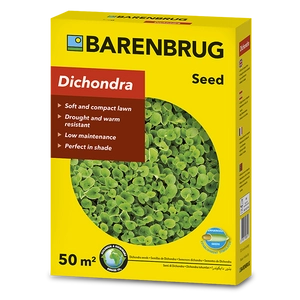 Barenbrug Dichondra – Zöld talajtakaró