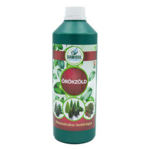 Damisol Örökzöld 1 liter
