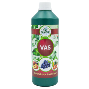 Damisol Vas 1 liter