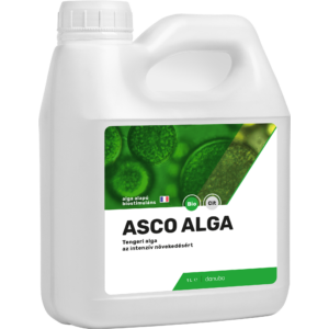 Asco Alga tengeri alga 1L