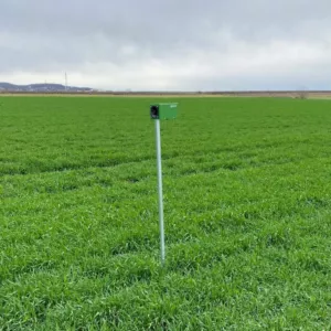 Doxmand Horganyzott acél oszlop