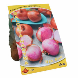  Dughagyma Red Sun Salottahagyma 10db 