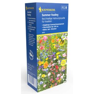 Summer Feeling Virágkeverék