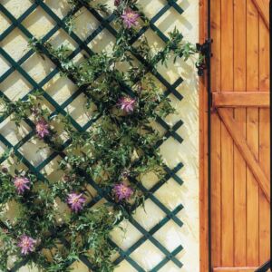 Nortene Trelliflex  térelválasztó, futtató, 0,5x1,5, Zöld