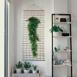 Climbawick növényfal tartó dekoratív létra 200 x 50 cm