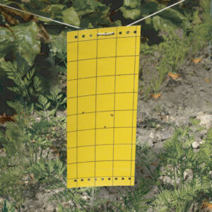 Nortene Glued Panel sárgalap 24x10 cm, 5 db