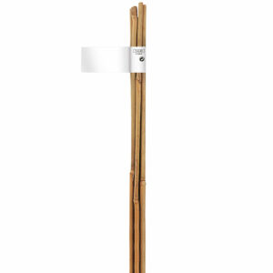 Nortene Bamboo bambusz termesztő karó  ( 1 db ), Ø 16-18 mm x M. 2,1 m