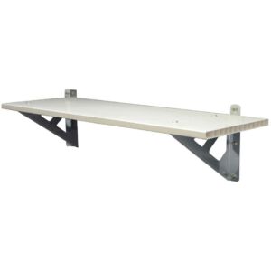 Palram Univerzális polc Skylight kerti tárolókhoz 