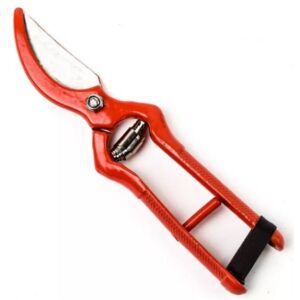 Metszőolló - festett, piros 21 cm