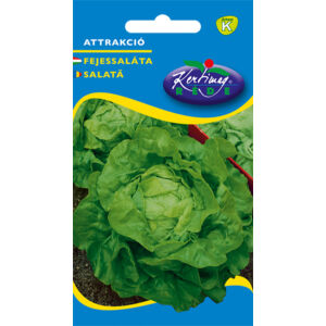 Rédei Kertimag Fejessaláta Attrakció Vetőmag 3g