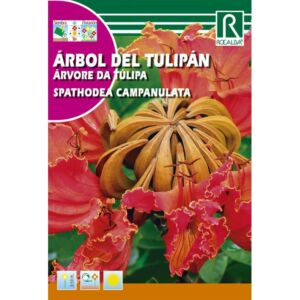 Rocalba Afrikai tulipánfa (Spathodea campanulata) 0,5 g