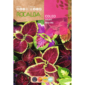 Rocalba Díszcsalán Arco Iris, mozaikvirág vetőmag