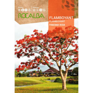 Pillangófa (Rocalba)  1 g