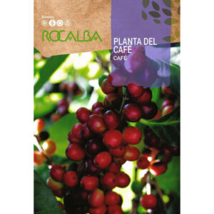 Kávé vetőmag (Rocalba) - Coffee Arabcia, 4 szem