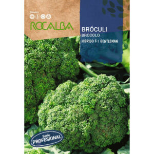Rocalba brokkoli Gentleman F1 - Hibrid