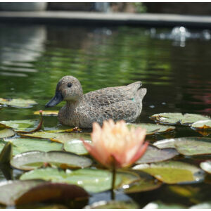  Ubbink Úszó réce nőstény, 29 cm - Élethű madár figura - csalimadár