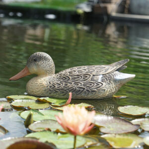 Ubbink Úszó vadkacsa nőstény, 39 cm - Élethű madár figura - csalimadár Ubbink Úszó vadkacsa nőstény, 39 cm - Élethű madár figura - csalimadár